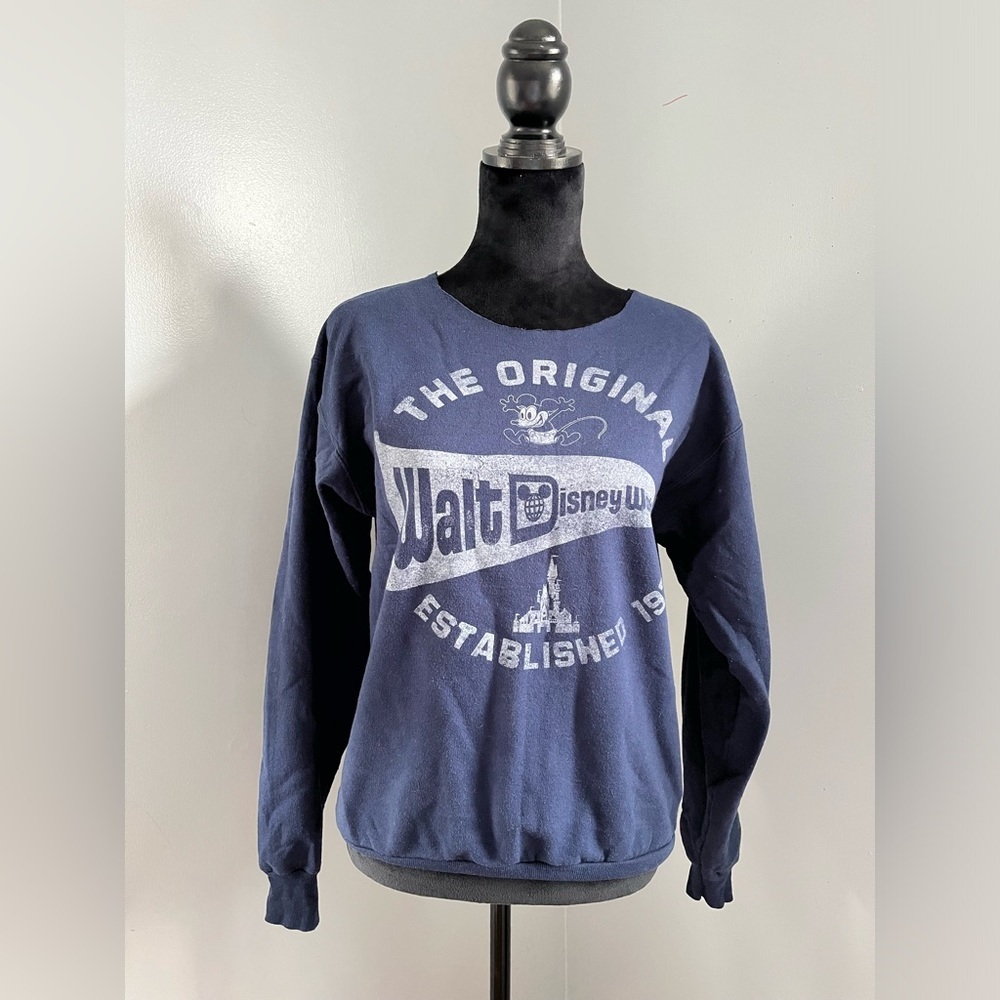 Hanes Walt Disney World Sweatshirt, Distressed, Size Small - Picture 1 of 6